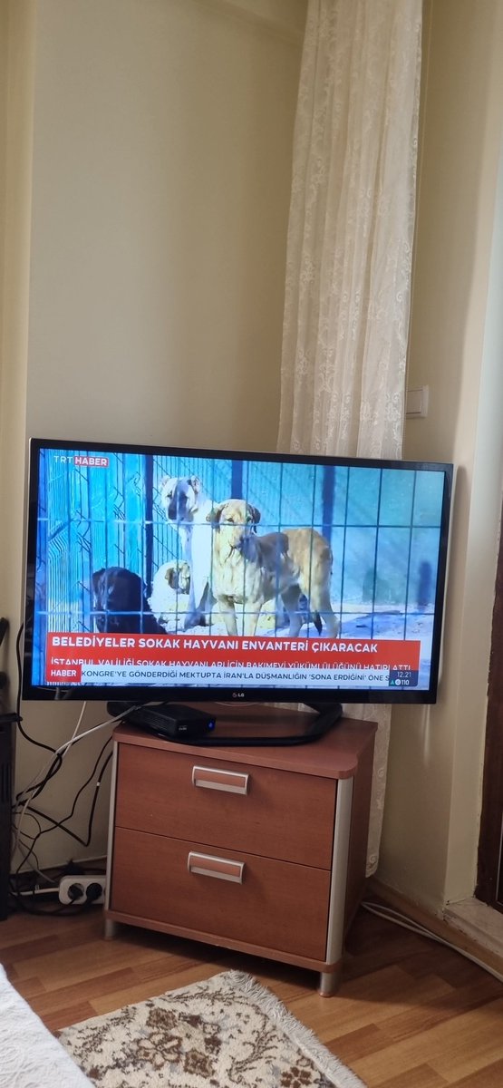 Ahmet Fikri Kızmaz tweet media