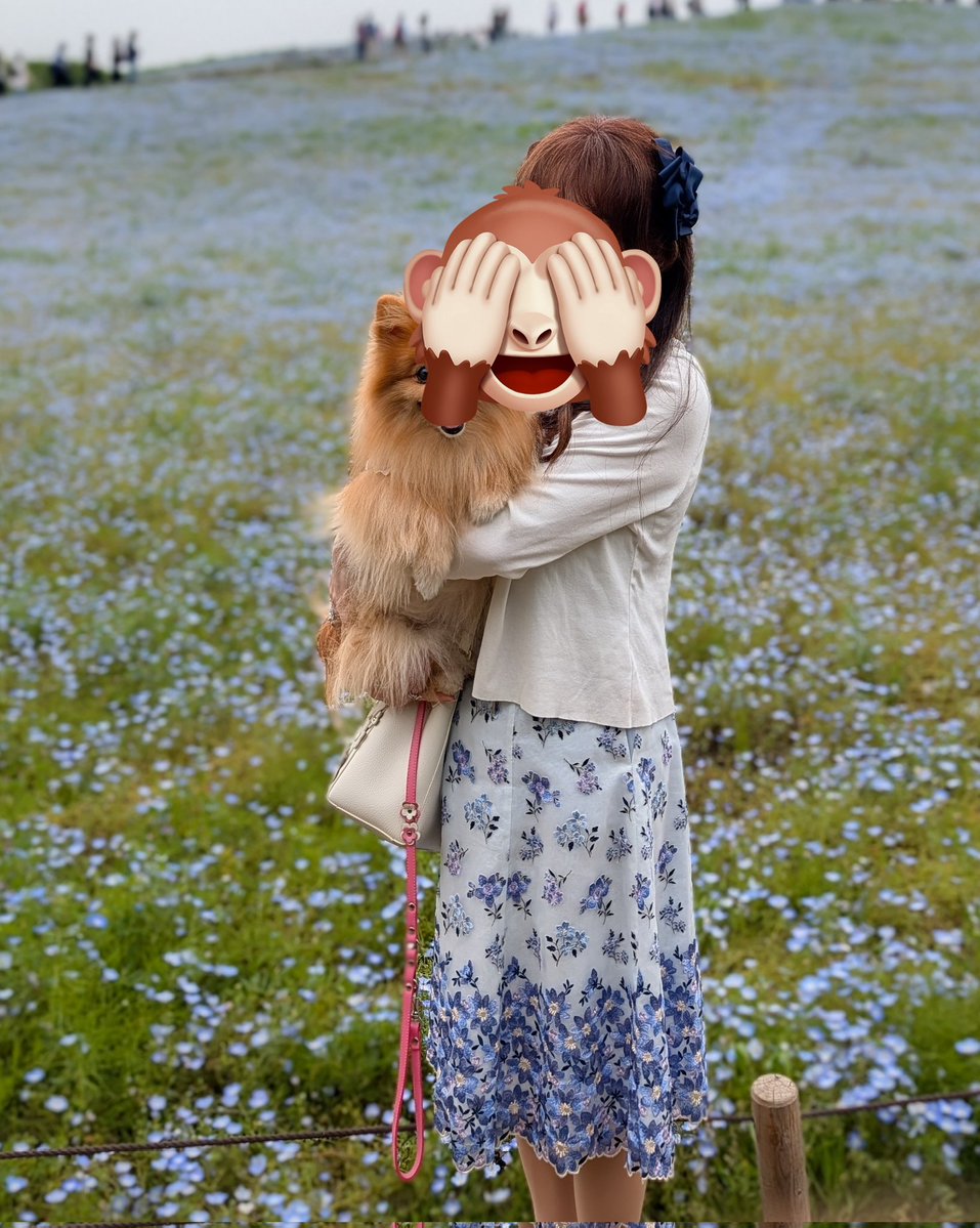 ももこ tweet media