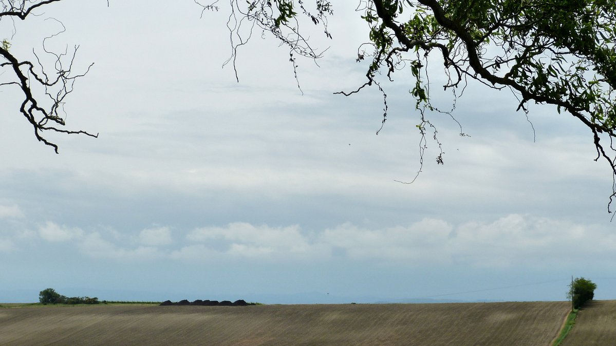Stats météo avril 26, chez nous, Aude, photos du jour: 
Max= T°: 22°7 - Humidité: 86%
Min= T°: 8°3 - Humidité: 41%
X̄ 30 j= 17°6
Pluies= 37 mm 5 j - Max=15/Min=1
T° vers 23h: Max=19 - Min= 6
Photos 1, 10, 20, 30

Détails par là: madikeravoyages.fr/NY3/aude1.html 

#météo #avril26 #Madikéra