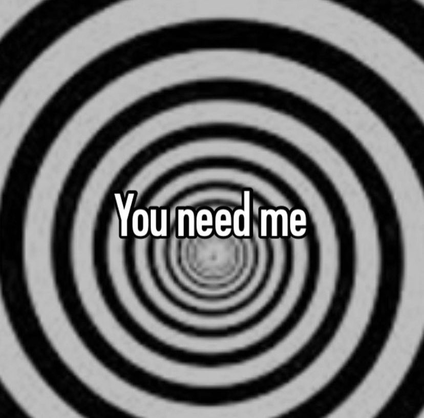 🕷️ tweet media