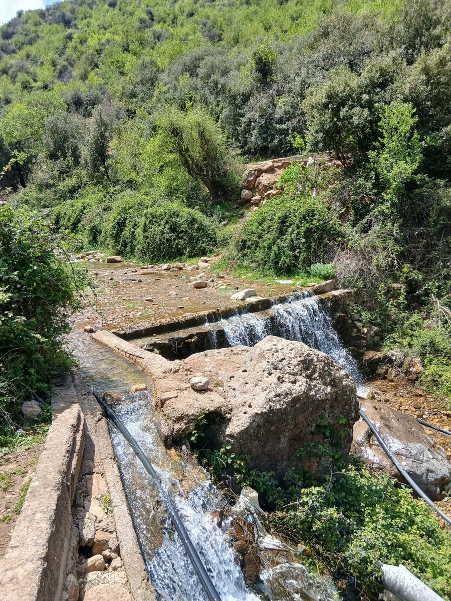 منذ أيام و أنا أنشر صور عن ولايتي خنشلة😍 لكن معظم المعلقين يعتقدونها ميلة 😅هل بنظركم خنشلة صحراء قاحلة 🤔
على العموم خنشلة او ميلة او اي منطقة اخرى  فهي جزائرية 🇩🇿
الحمد الله🤲💚