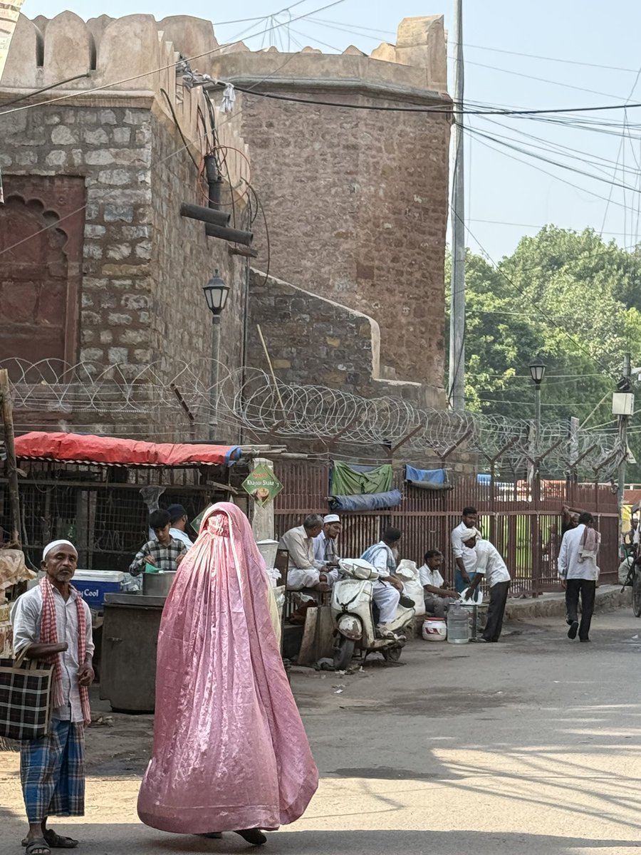 lady in pink