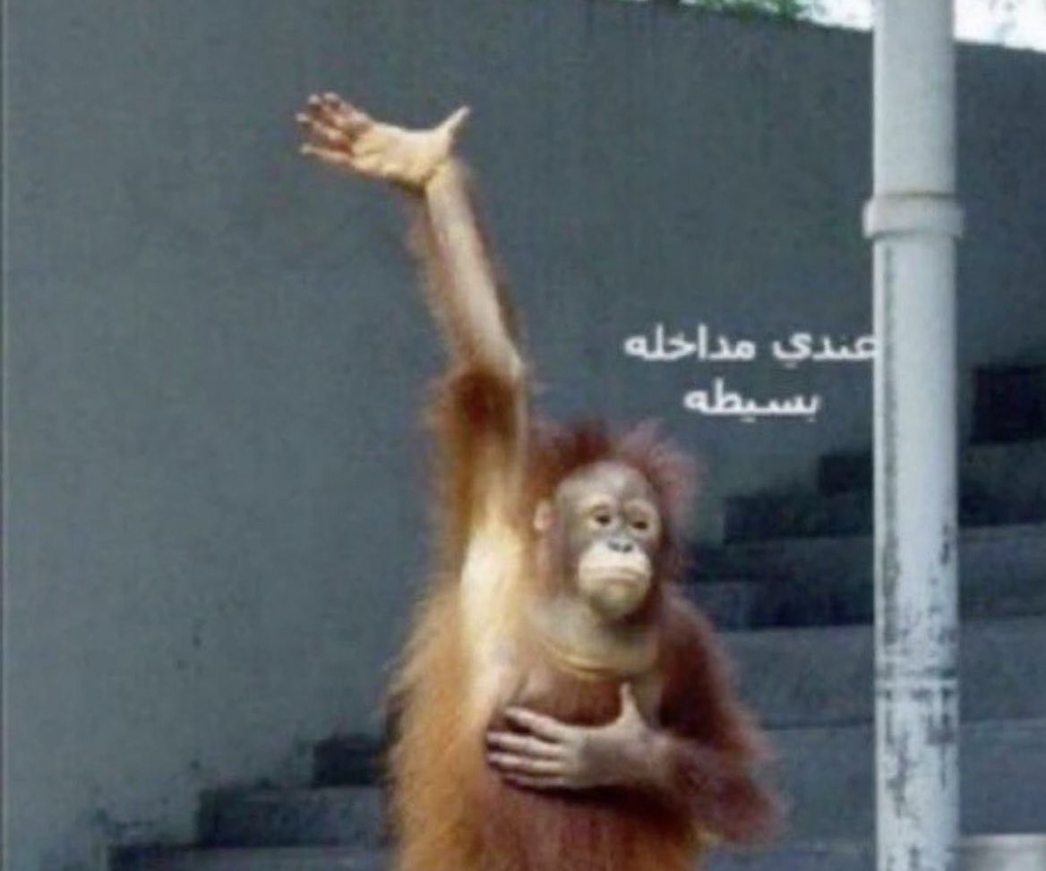 مَزّان tweet media