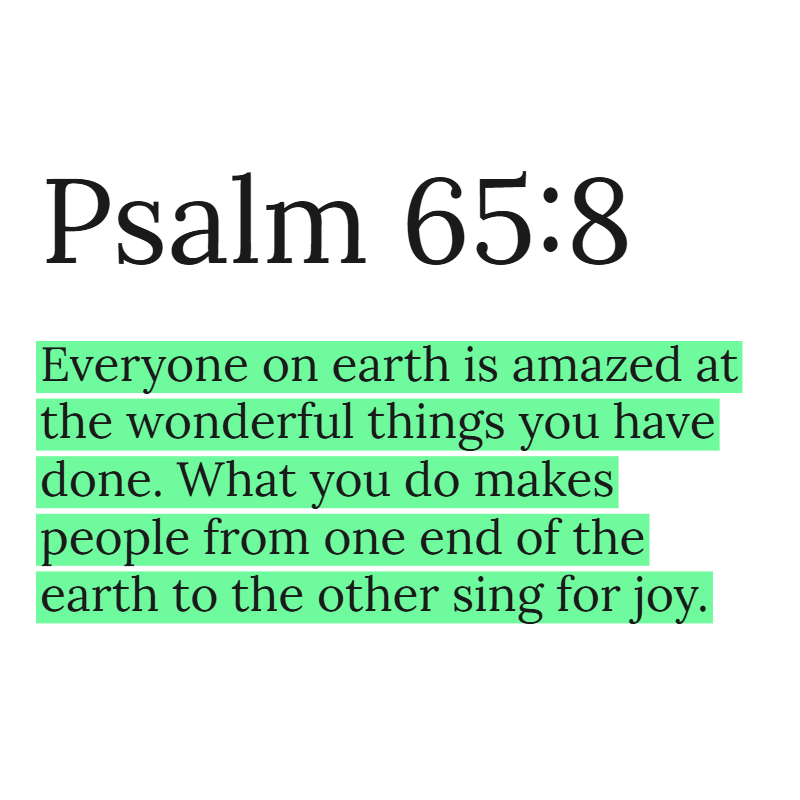 Holy Bible tweet media