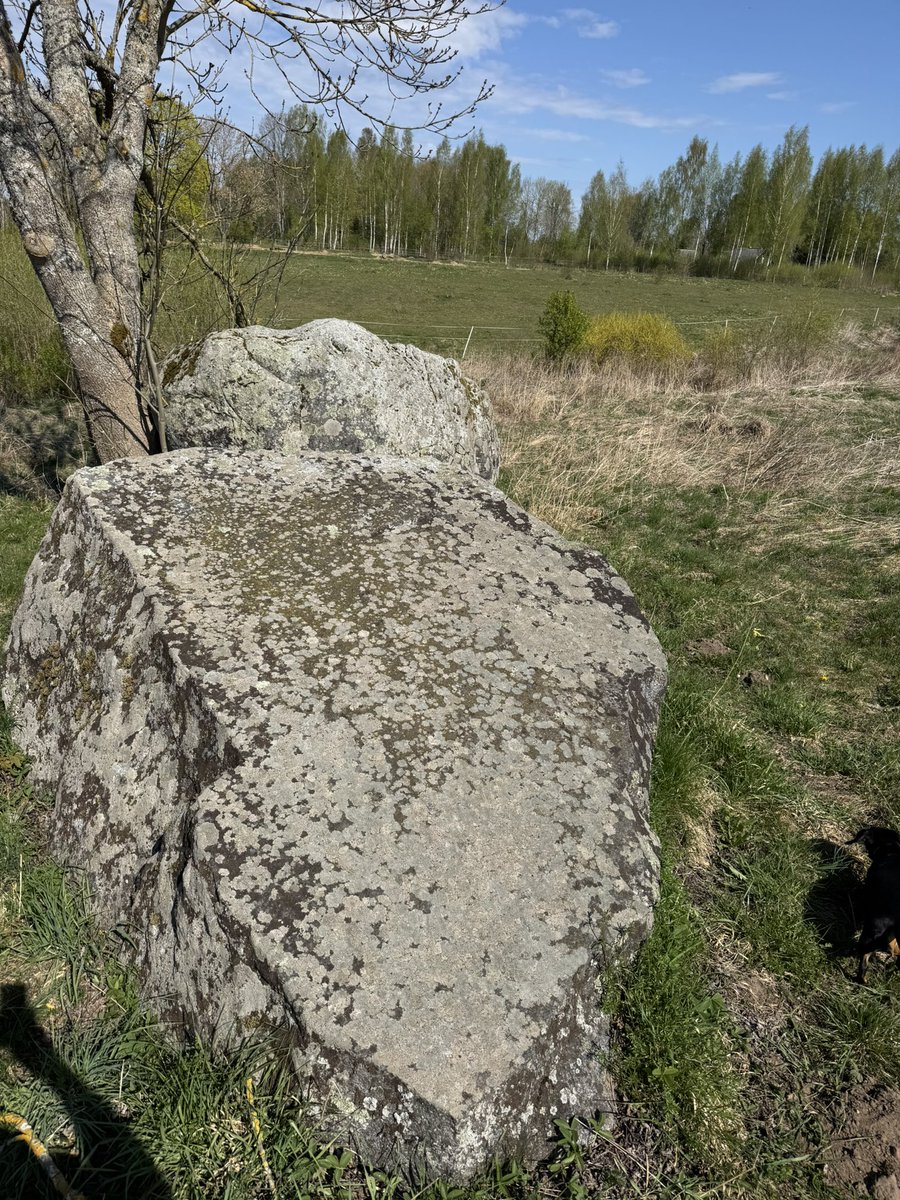 JansonsM's tweet photo. Pastmuižas Velnakmens, Koknese | 03.05.2026. https://t.co/iGcR94LOlw