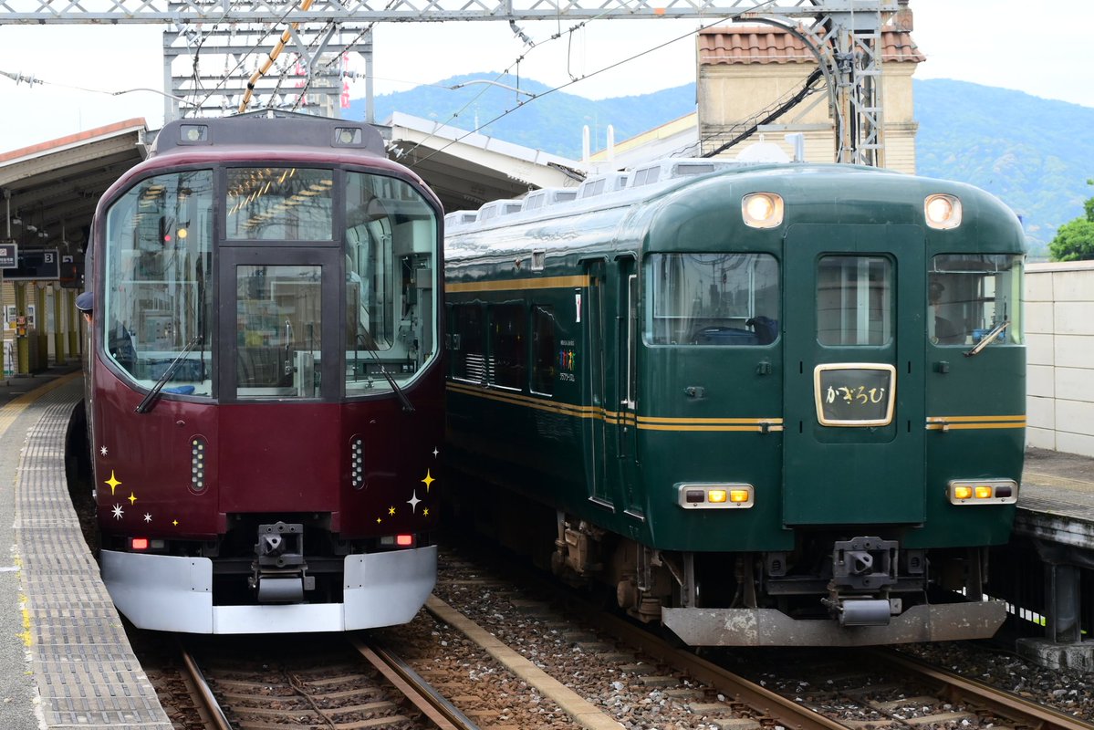 ベータ tweet media