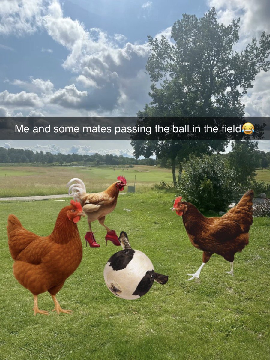 Chicken tweet media