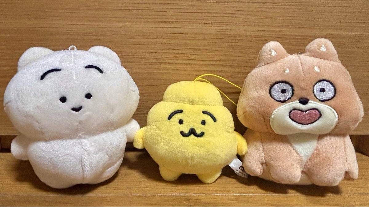 ねこ tweet media