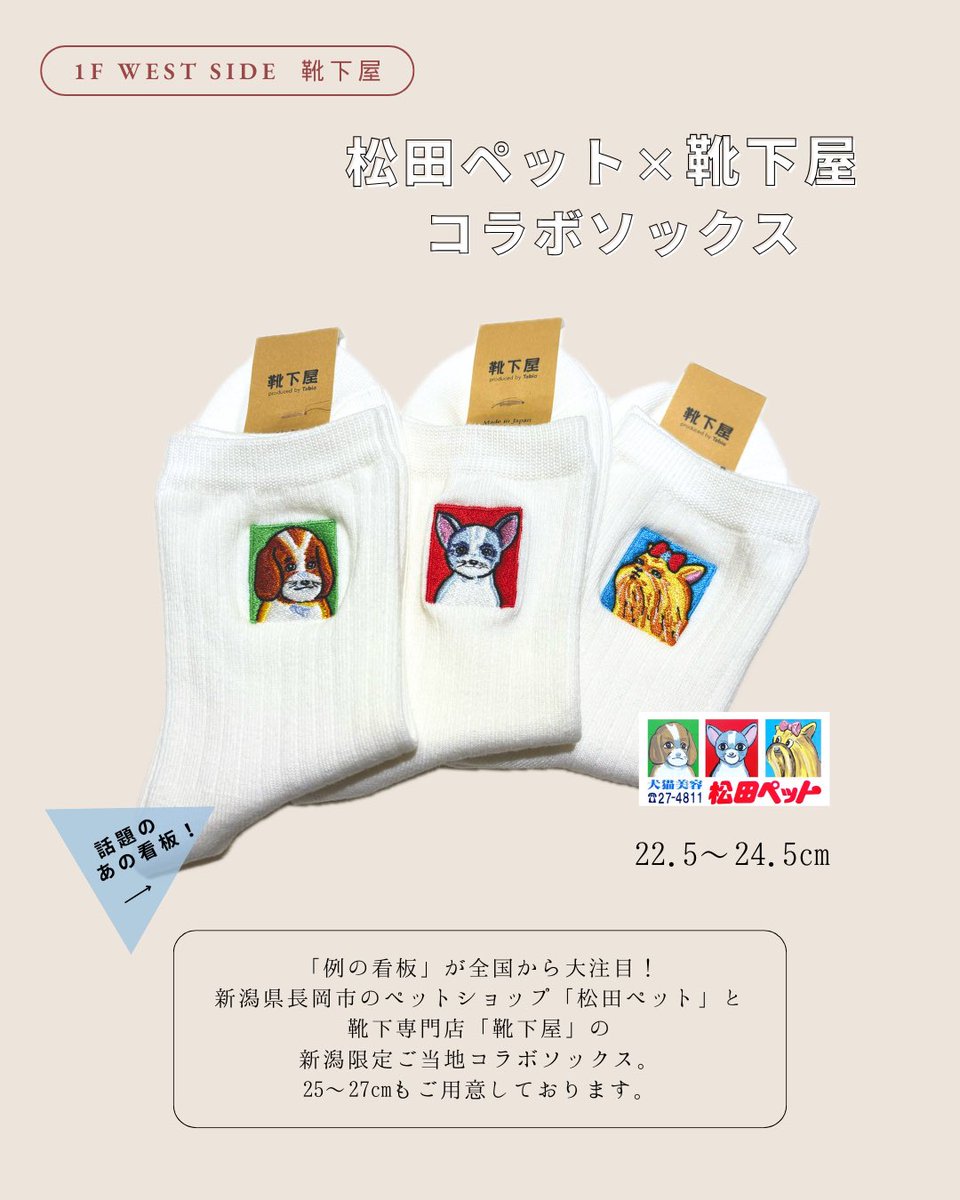 靴下屋CoCoLo新潟店 tweet media