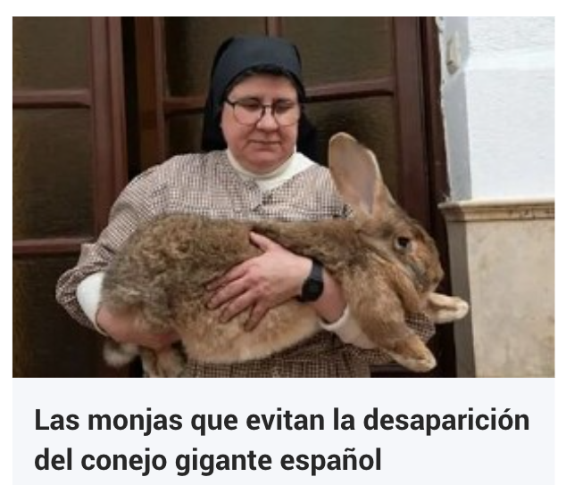 elfitash's tweet photo. @caliebre el verdadero caliebristan https://t.co/O0j3wMIje9