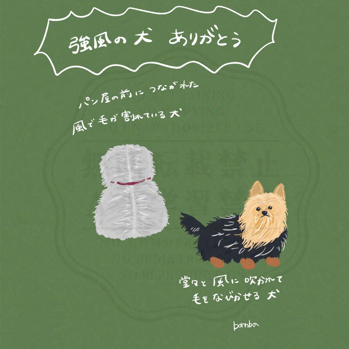 甘蕉 tweet media