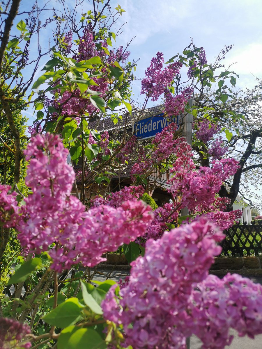 Fliederweg