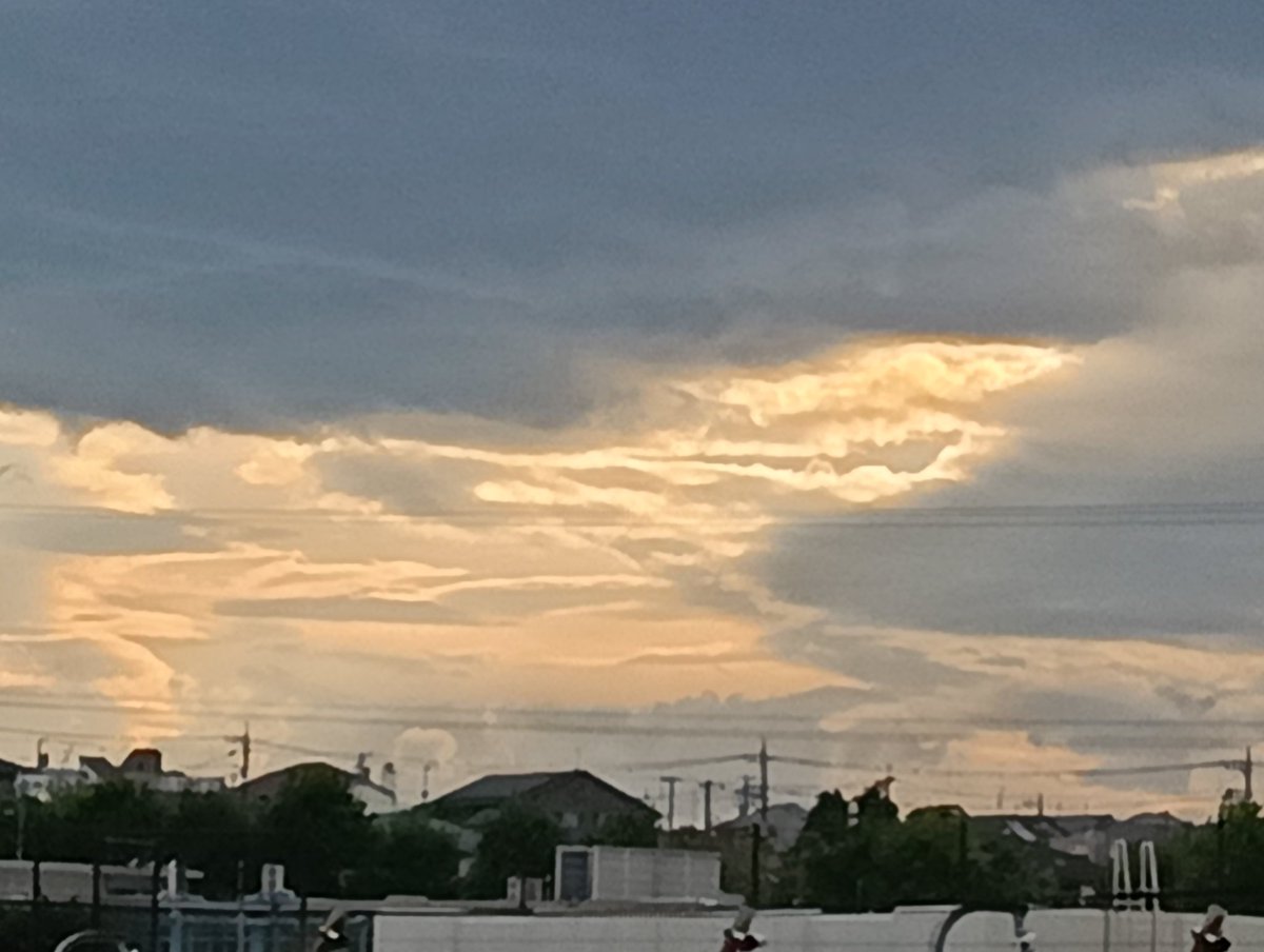 ゴンドワナ tweet media