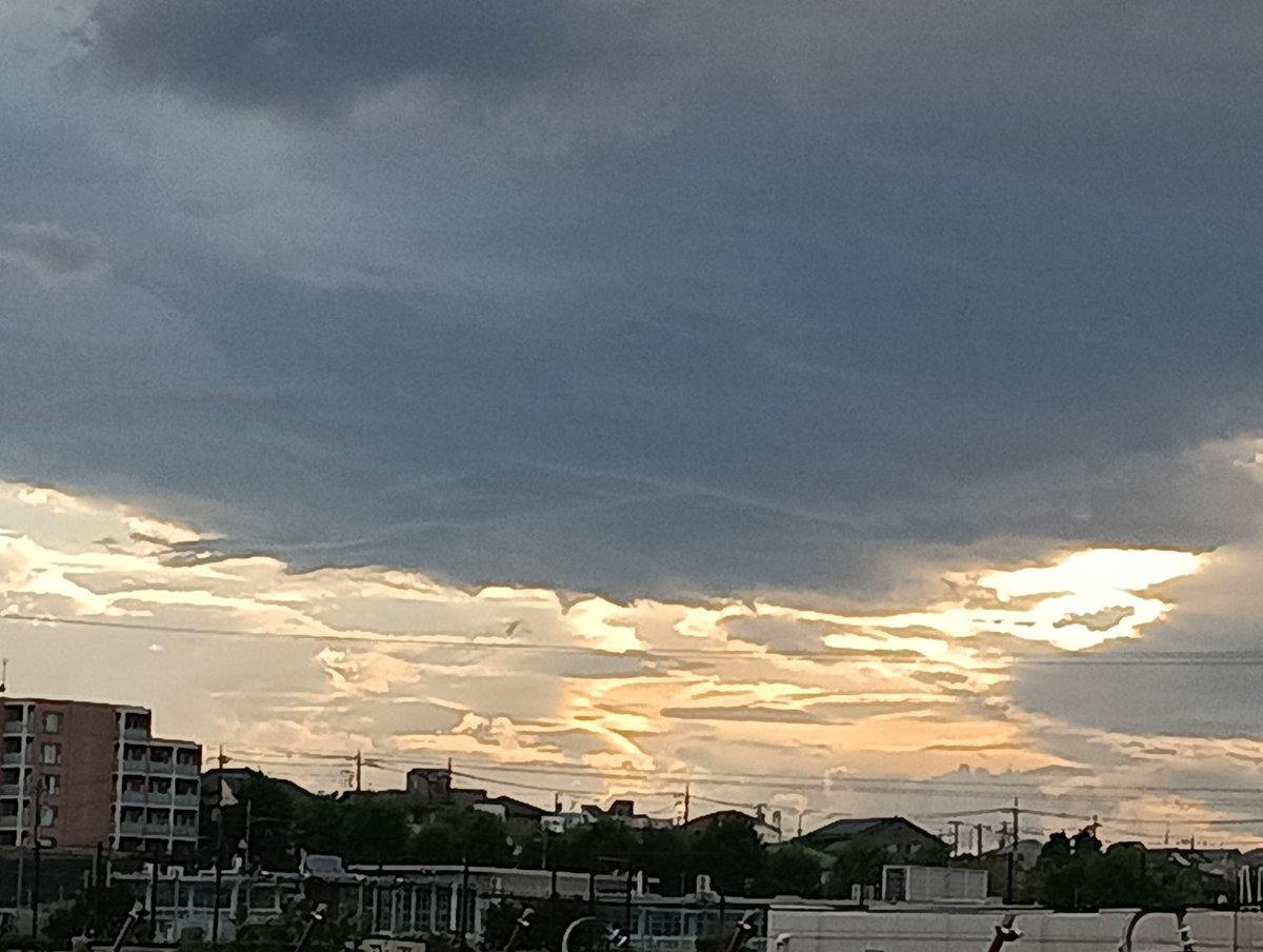 ゴンドワナ tweet media
