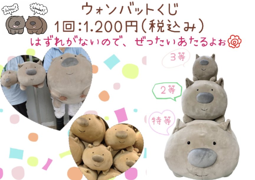 1回：1,200円(税込)でハズレなし💮 必ず #茶臼山動物園 飼育員監修の