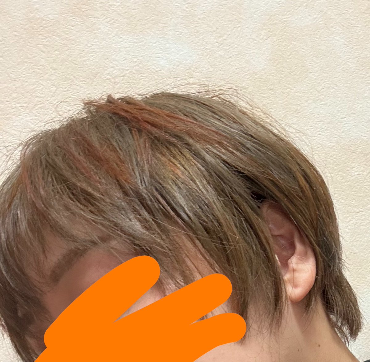 マナ tweet media