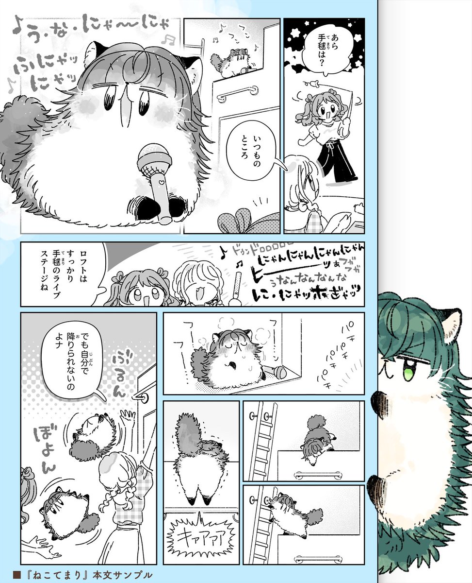南瓜🌟 tweet media