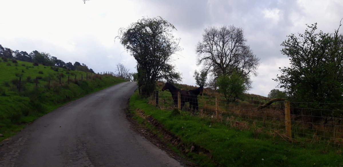 EarlGuru's tweet image. pics from yesterday on the pushbike .. #cycling #brecon
