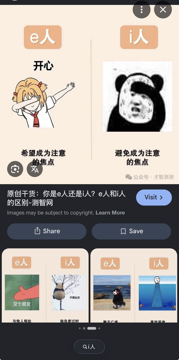 団地のネコ（ザムザ） tweet media