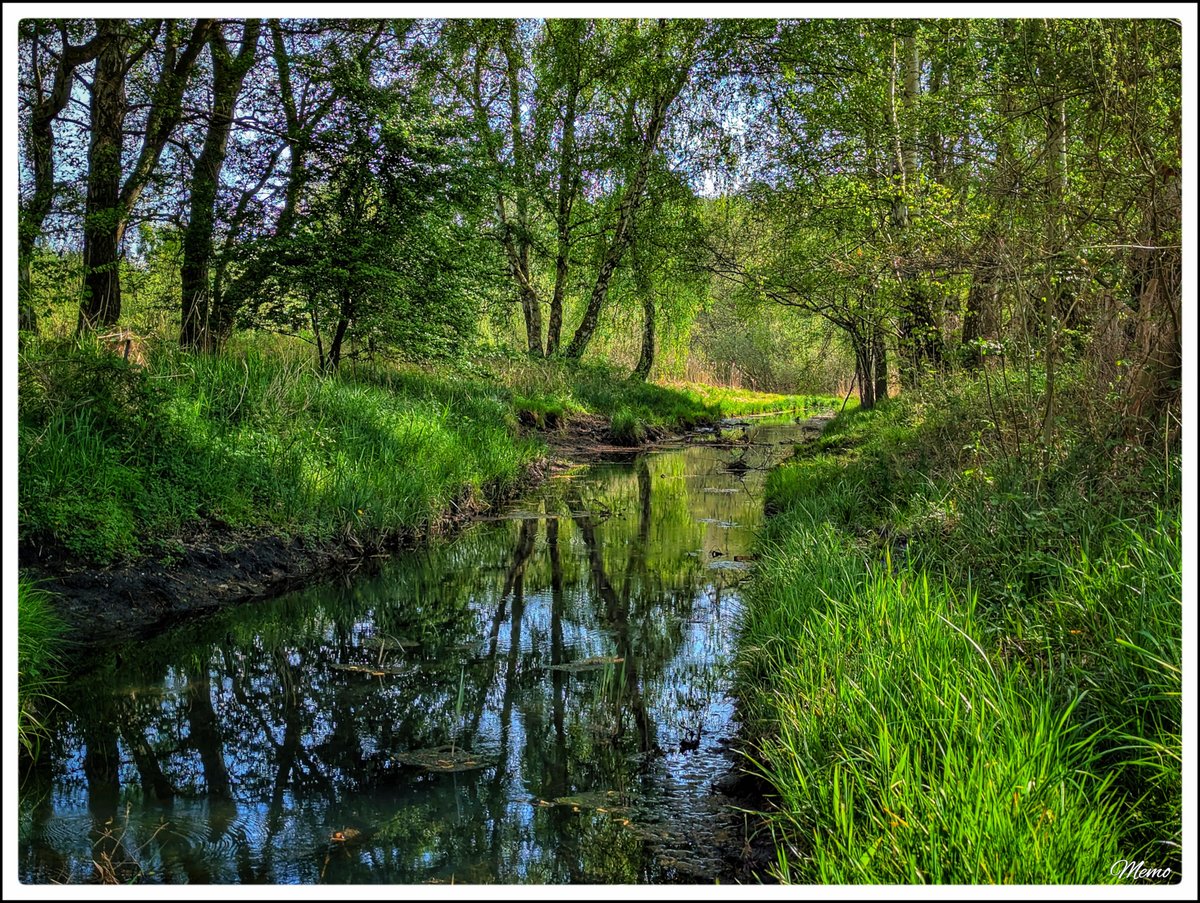 memo_mv2k's tweet image. ≪ Morgens am Krebsbach ≫

#photography #fotografie #foto #photo #postprocessed #myphoto #mywork #ownwork #nature #natur #umwelt