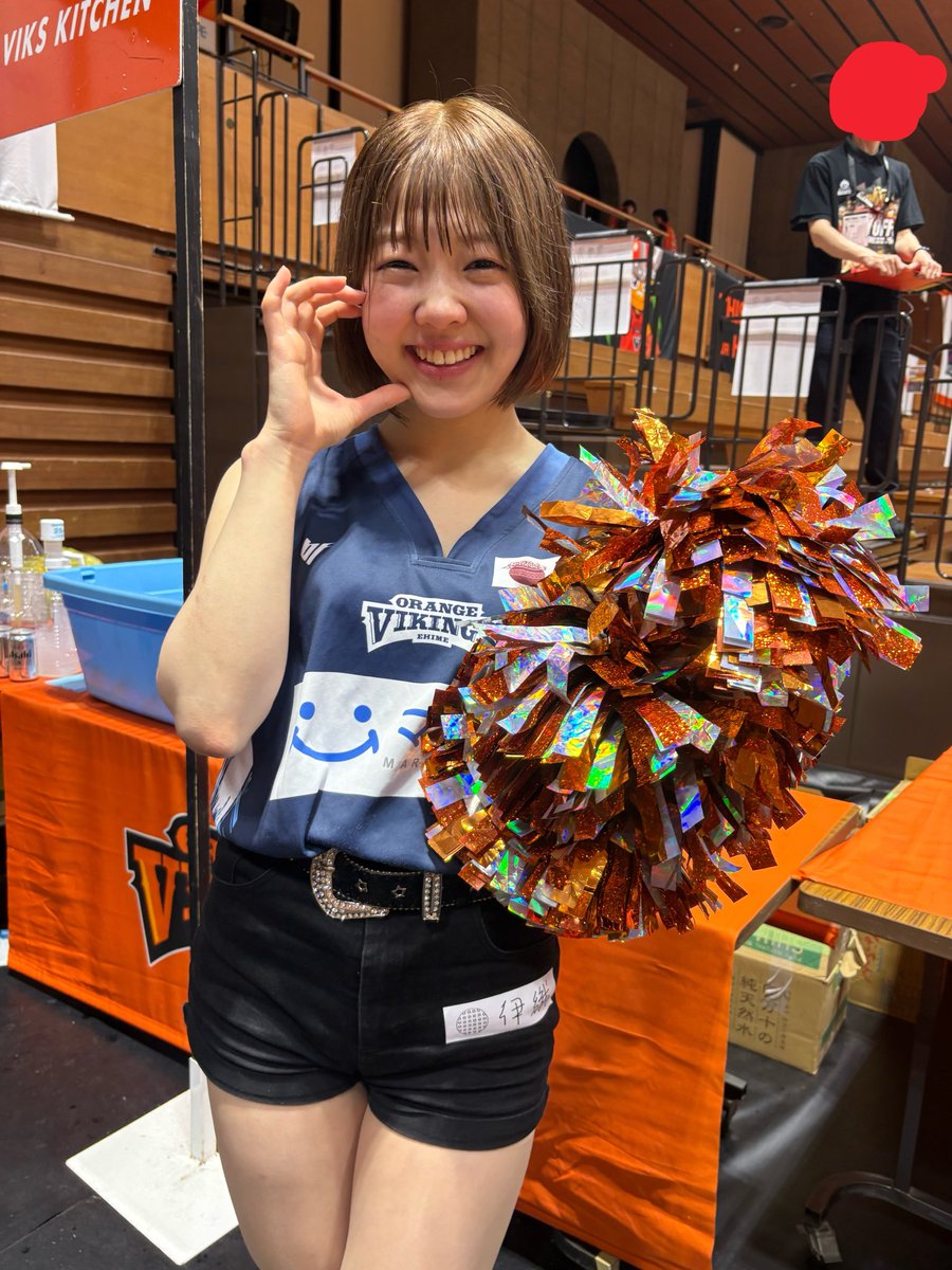 いぬ。 tweet media