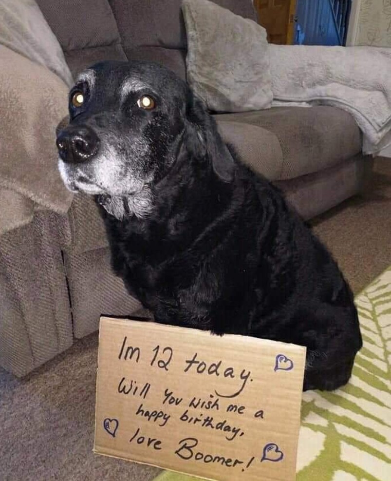 I'm 12 today 🎉 Will you wish me a happy birthday 🎈🎁🎉