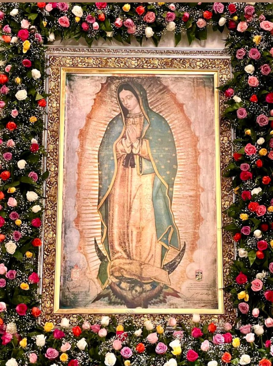 noah_mwamfupe's tweet photo. Tender Mother of Guadalupe, pray for us and lead us to the heart of your Son Jesus Christ. https://t.co/ct32iAPpU2