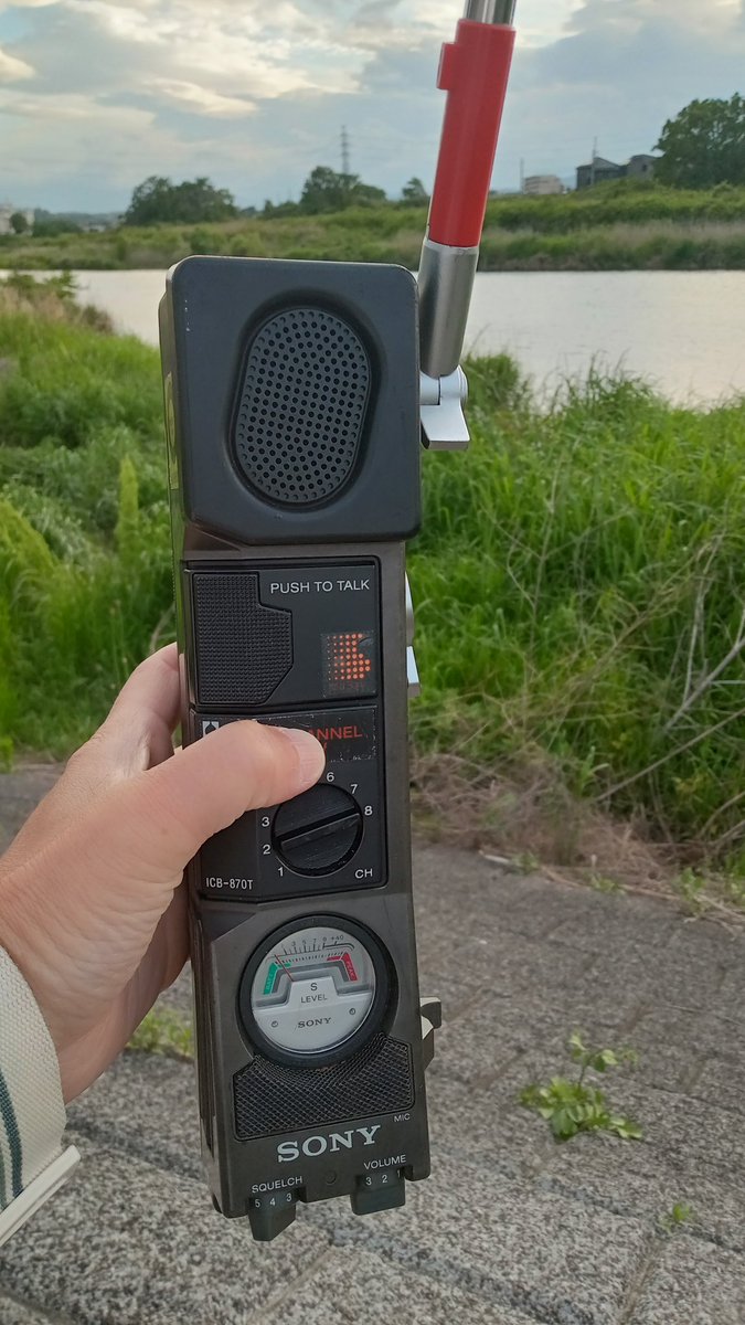 ｺｼｺｼ😁ﾄｳｷｮｳHN81 tweet media