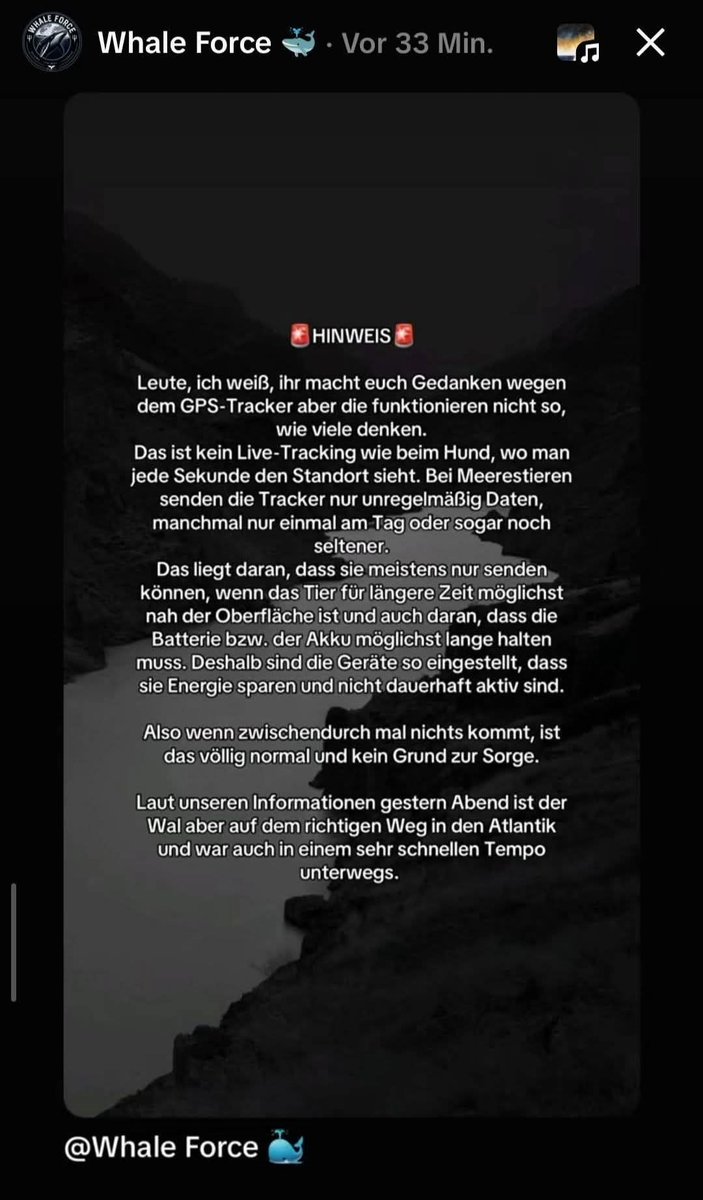 Fabelixx tweet media