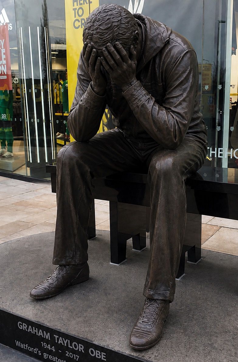 Do Not Scratch Your Eyes Watford FC Podcast 🐝 tweet media