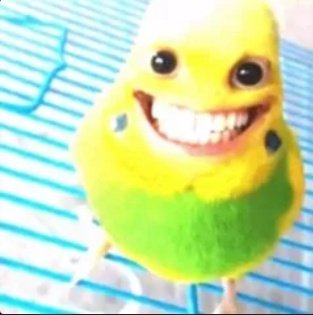 eu me sinto tô um morador de rua comendo restos de comida