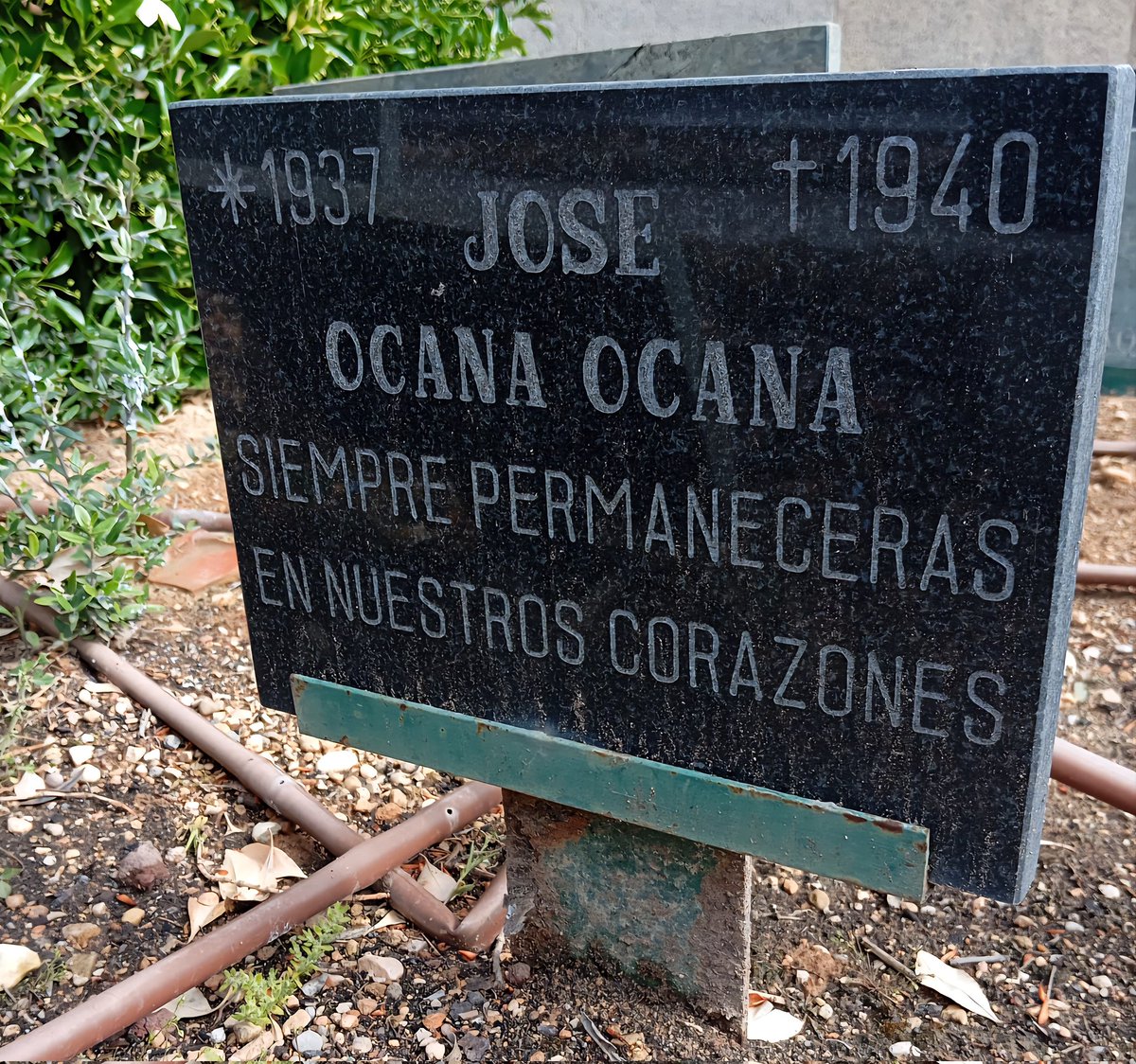 Colectivo Puente Madera tweet media