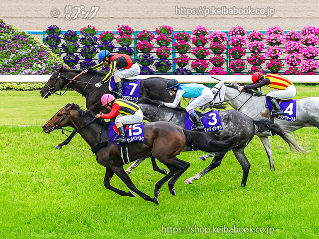スペシャルウィーク　天皇賞春　競馬ブックパネル 天皇賞・春 ヴェルテンベルク単体のお写真はございませんが、ゴール前