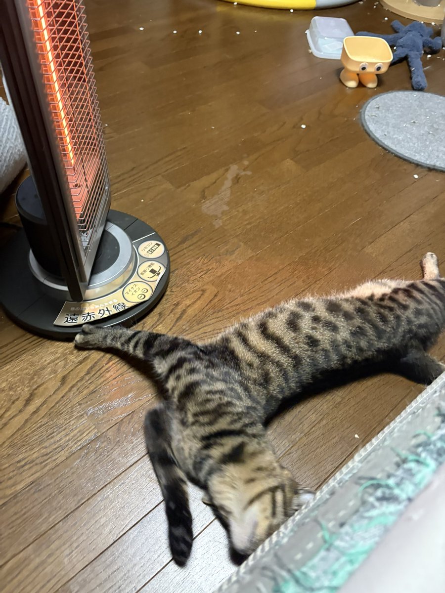 あやﾅﾆ tweet media