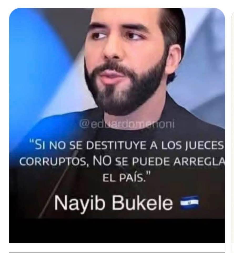 Teodora tweet media