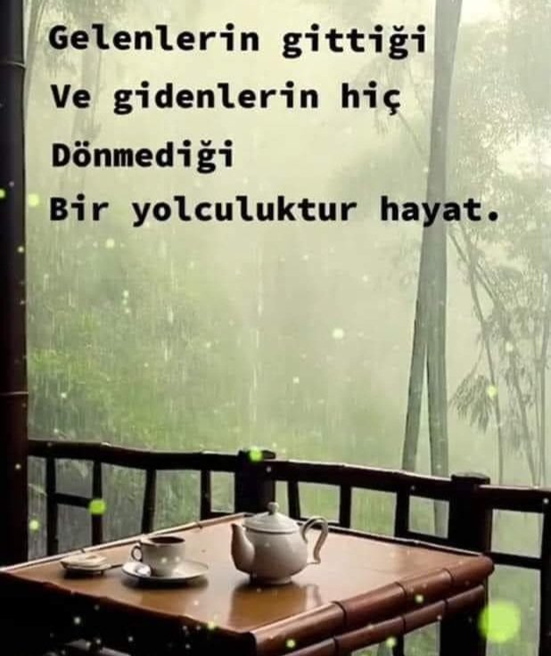 Türkan Buldum tweet media