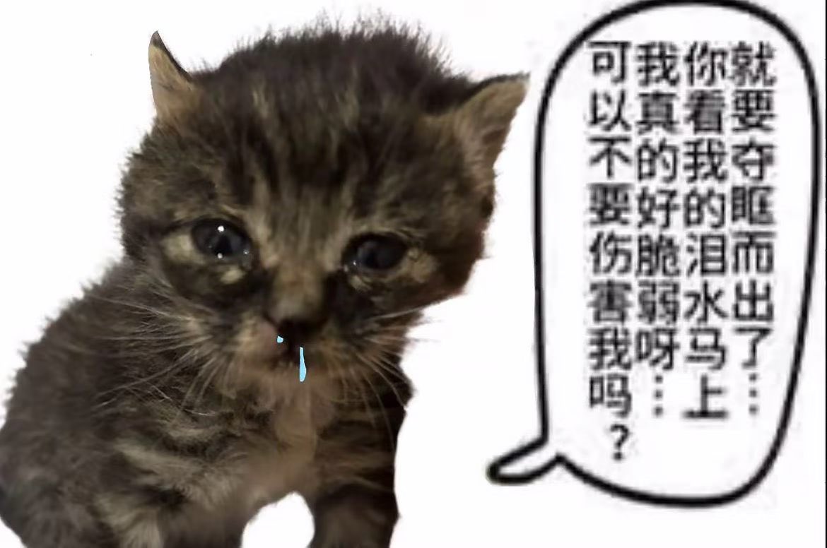 想變成妳放學路上的小貓 tweet media