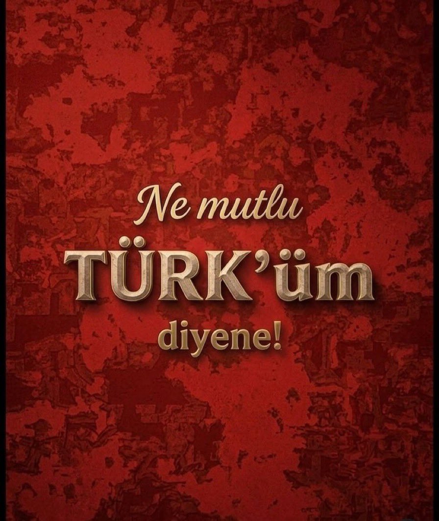 VATAN BAYRAK🇹🇷🕋🌺 tweet media