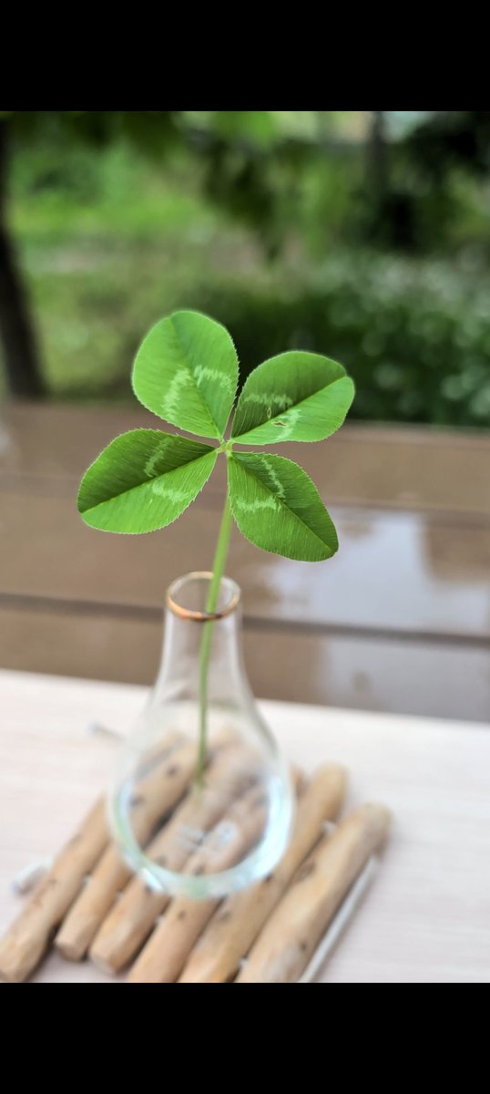 よーるく🌿DIY母ちゃん tweet media
