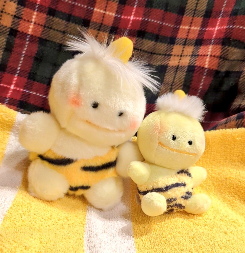 🎺🌱な( ・■・)べ🍙💛a.k.aこけしちゃん🍋🌰🎩 tweet media