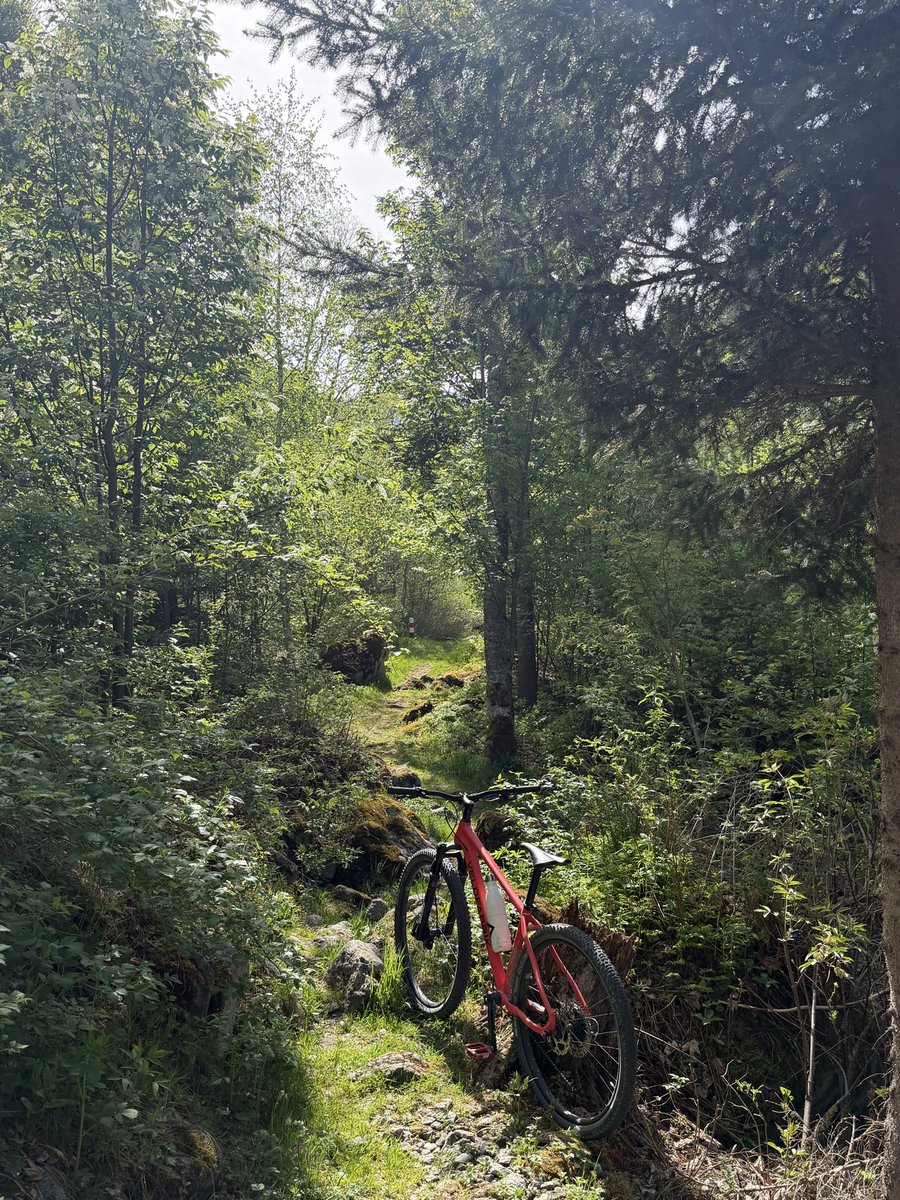 PortmannCarrick's tweet image. first #treeride
#weekend
