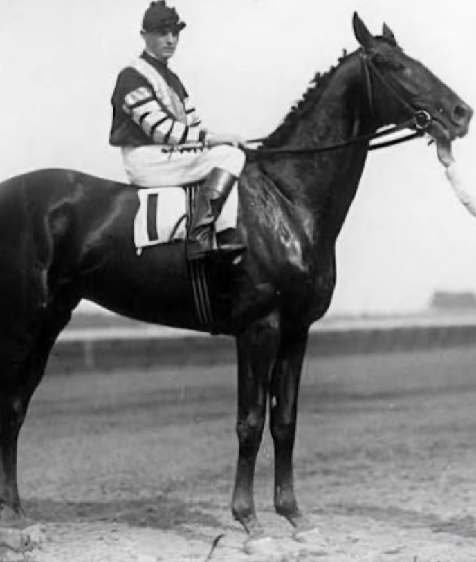 Save Horse Racing tweet media