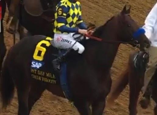 Save Horse Racing tweet media
