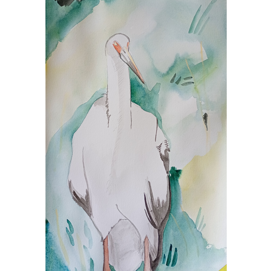 HEATHENCOMICS's tweet photo. Stork, Aquarelle on paper, size A4
#stork #aquarela #aquarelle #traditionalart #illustration #artistonx #artistontwitter https://t.co/KFsrkydQeA