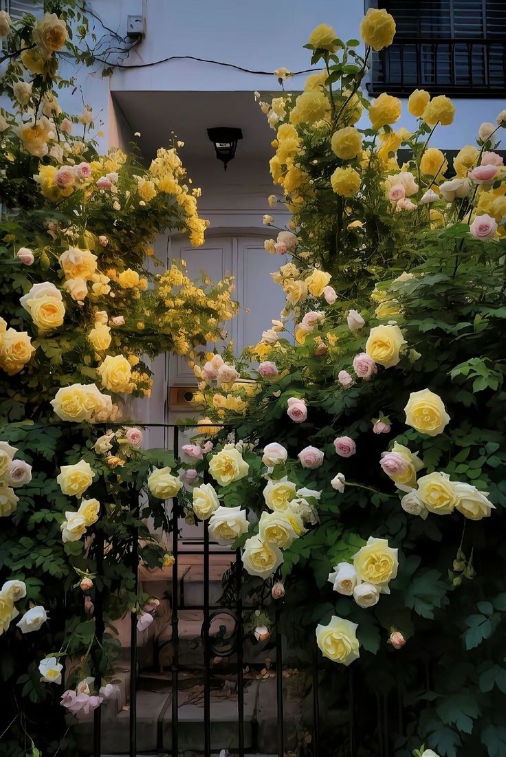 Flowers Life tweet media