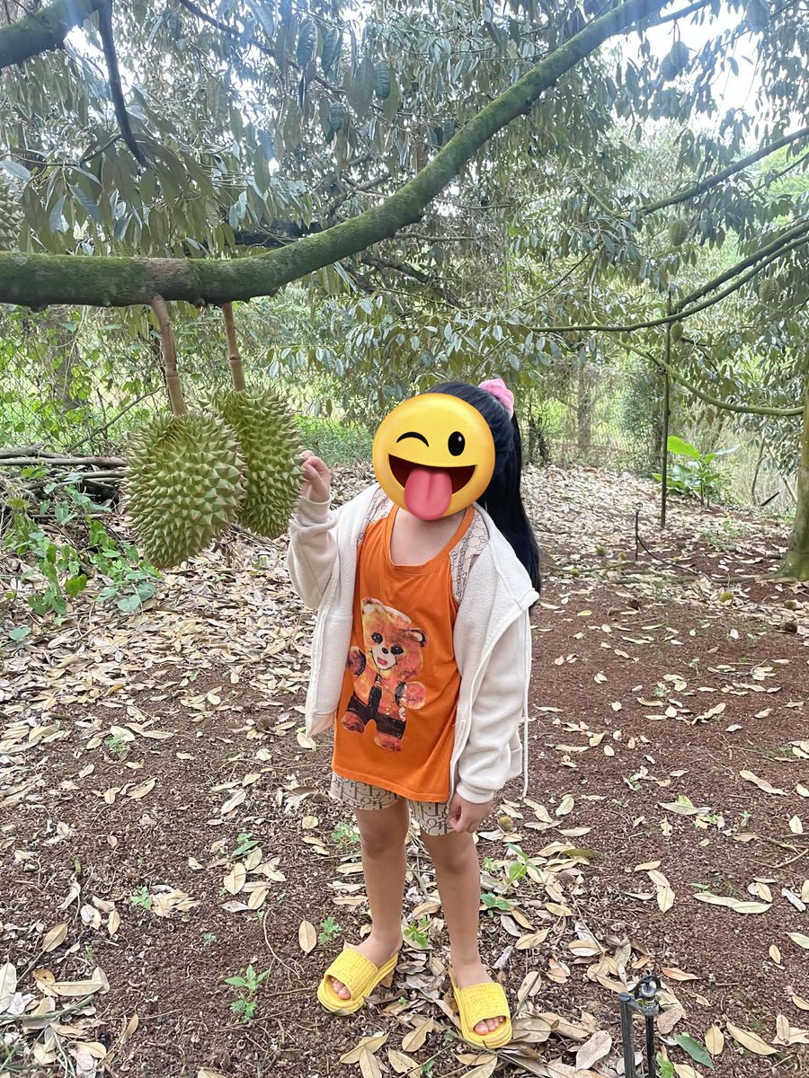 🇻🇳ベトナム人と結婚する?🇧🇷 tweet media