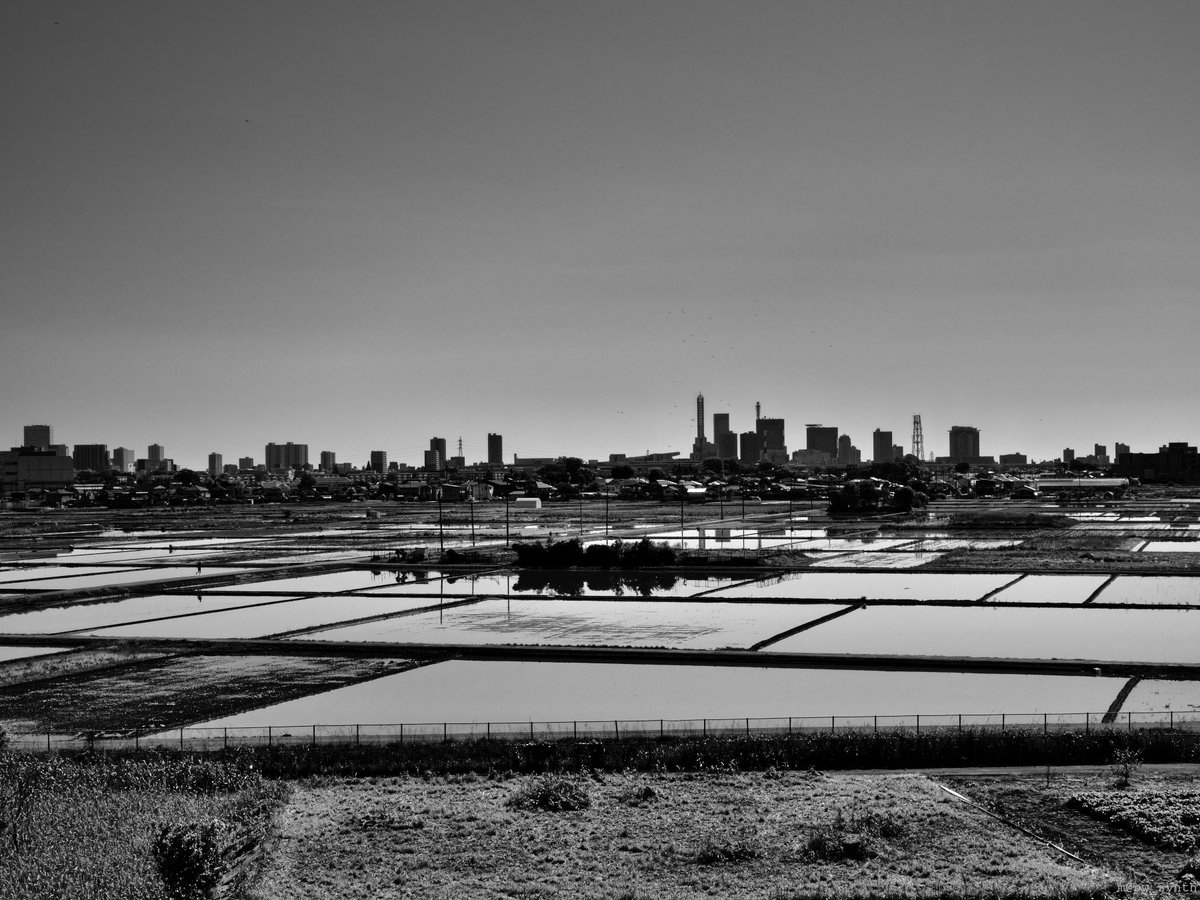 pw_synth's tweet image. 田水張る（たみずはる） 
#snap #SILKYPIX #monochrome 
#OLYMPUS #OM #OLYMPUSPEN E-P7
