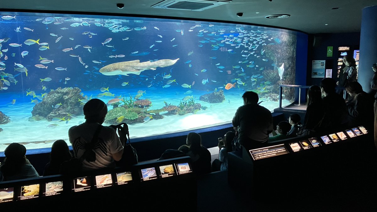 サンシャイン水族館 tweet media