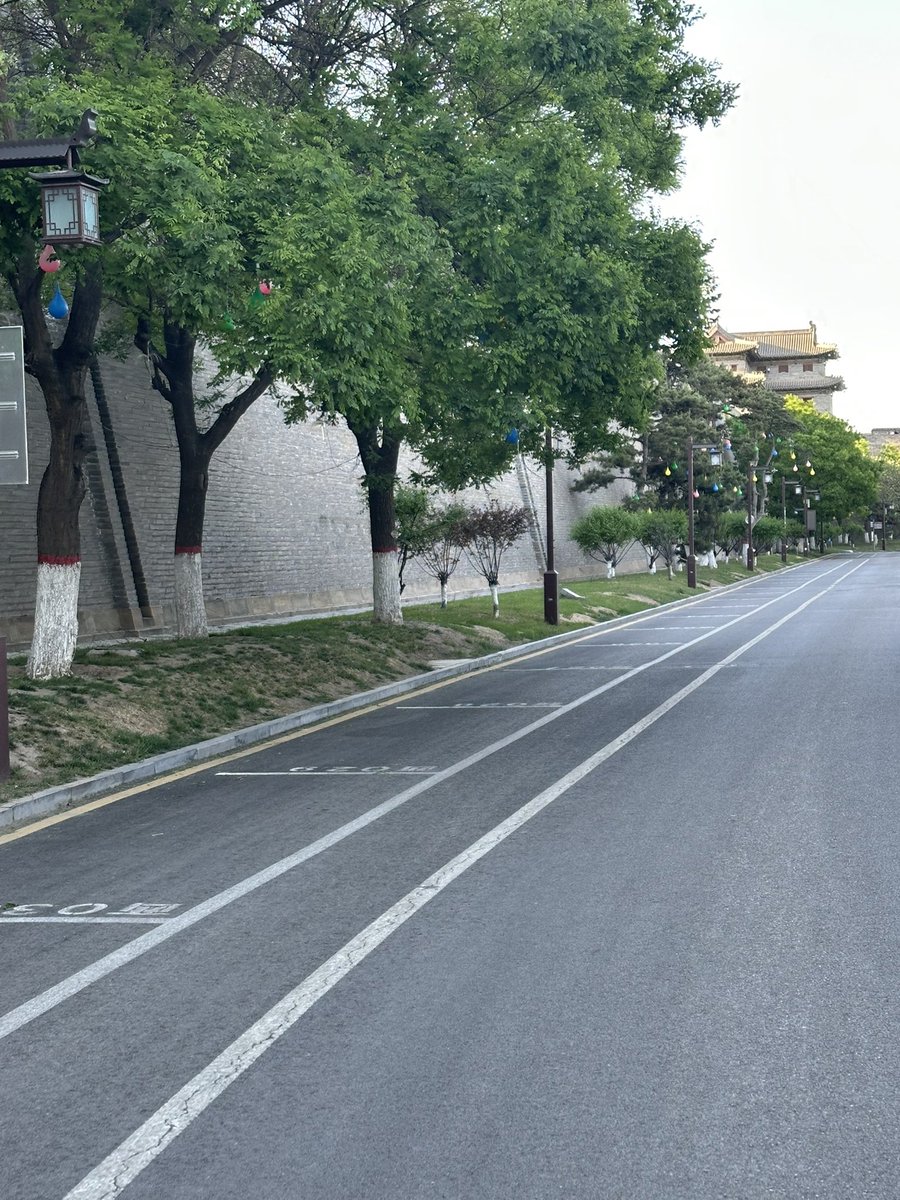 暖茶伴书 tweet media