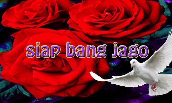 gisellmaf's tweet photo. padahal pada punya otak, akal dan hati. dengan sadar &amp; jelas jelas ngetik “ngomongnya dijaga” “nanti dilaporin” tapi masih ajeeeeeeeeeee….. https://t.co/lqP64u2537